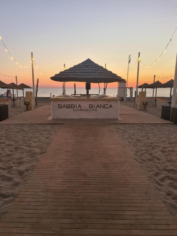 Hotel Camelia Rimini Ngoại thất bức ảnh