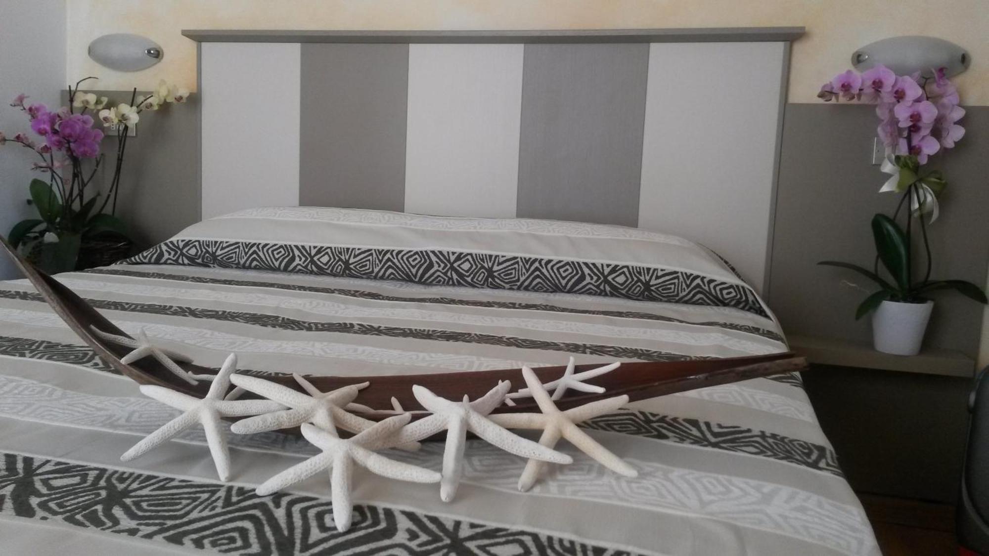 Hotel Camelia Rimini Ngoại thất bức ảnh